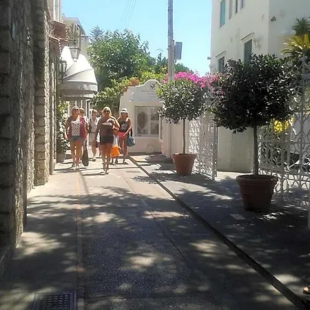 Bed & Breakfast Apollo 4*