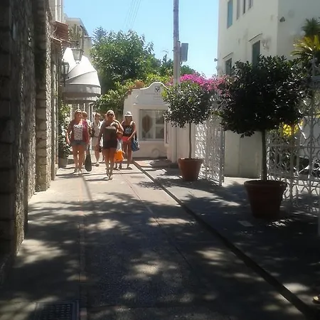 Bed & Breakfast Apollo 4*