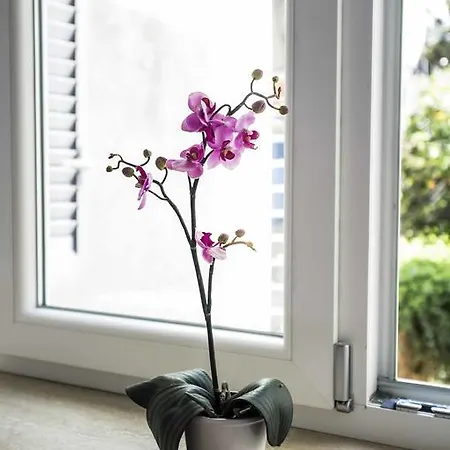 ベッド・アンド・ブレックファスト Apollo カプリ