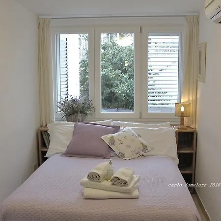 Apollo ベッド・アンド・ブレックファスト