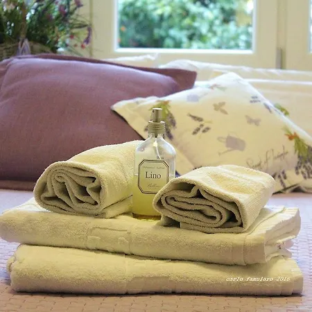 Bed & Breakfast Apollo 2*