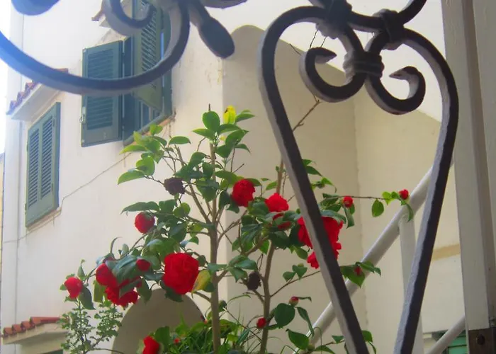 阿波罗别墅住宿加早餐旅馆 4* 卡普里