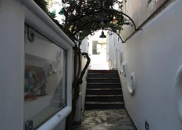 阿波罗别墅住宿加早餐旅馆 4*