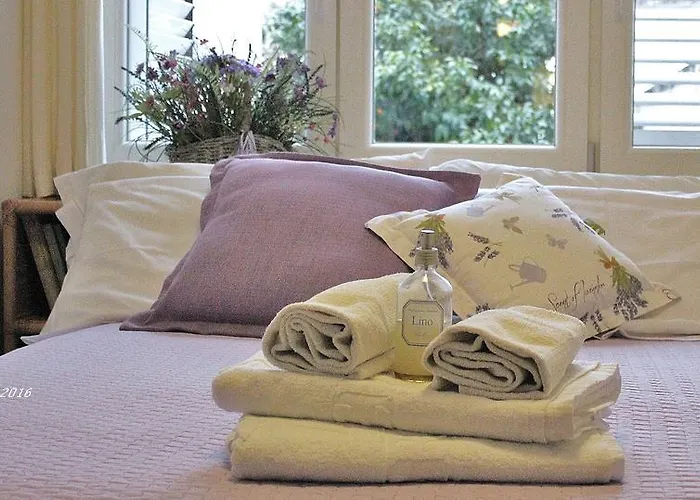 住宿加早餐酒店 阿波罗别墅住宿加早餐旅馆 卡普里