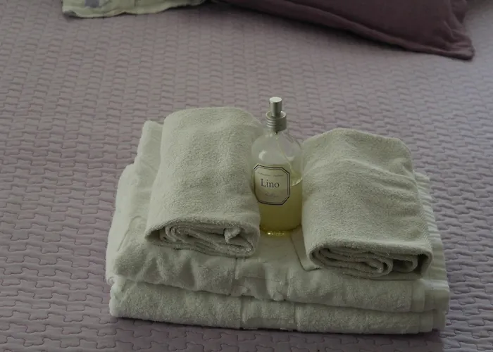 阿波罗别墅住宿加早餐旅馆 住宿加早餐酒店 4*