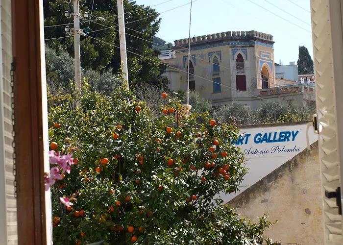 阿波罗别墅住宿加早餐旅馆 卡普里