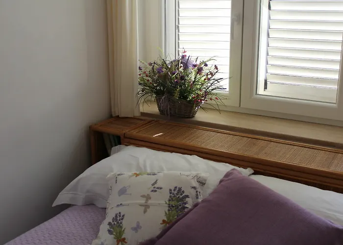 阿波罗别墅住宿加早餐旅馆 4*